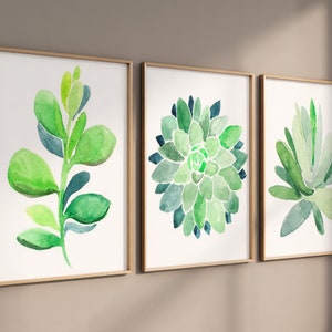 Succulent Wall Decor - Succulent Art Prints - Framed Watercolor Succulent Plant Artwork - Watercolor Plant Office Wall Art Canvas Set of 3