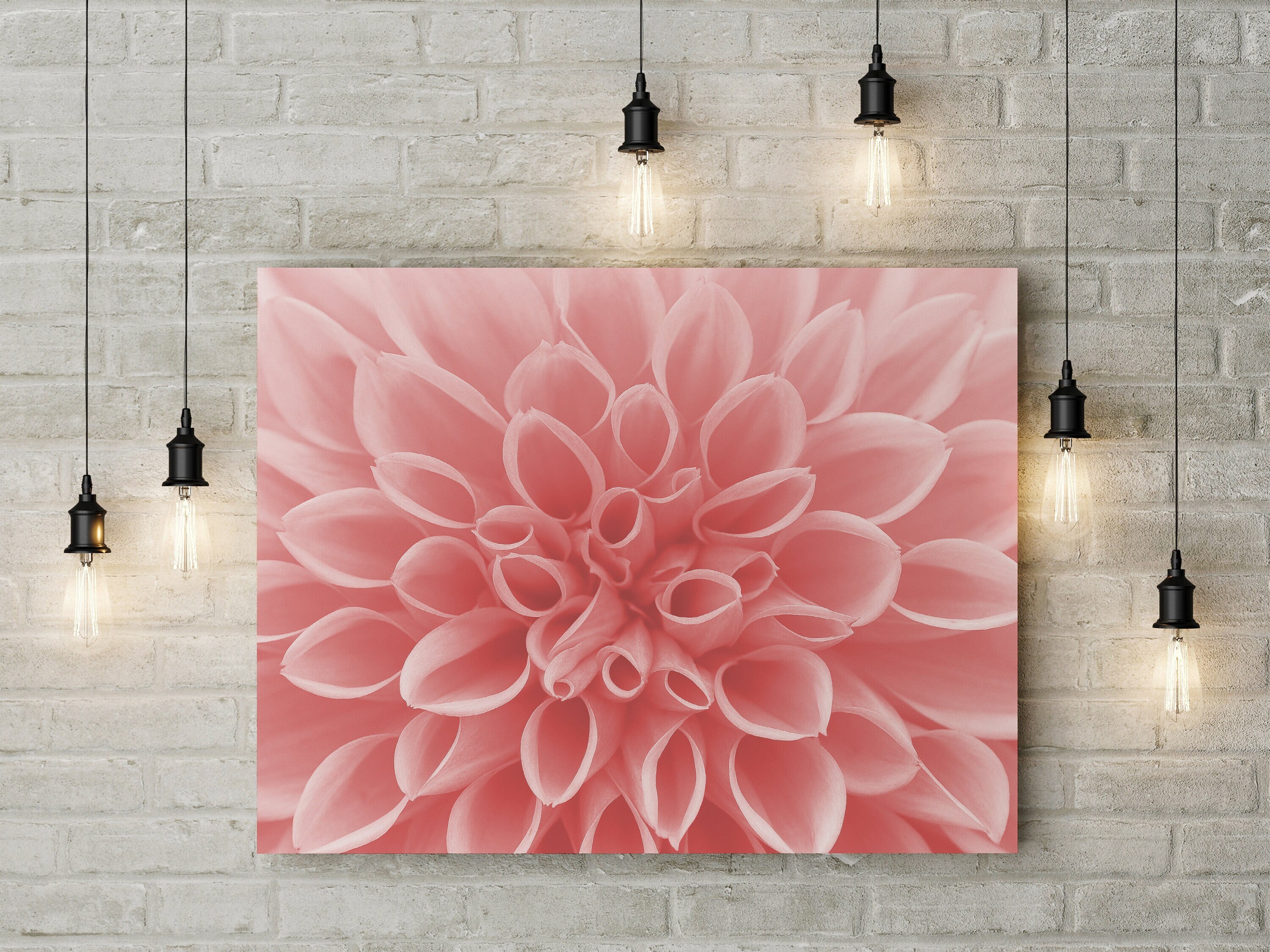 Coral Dahlia Flower Prints Frames or Canvas Set of 1 Coral Flower ...