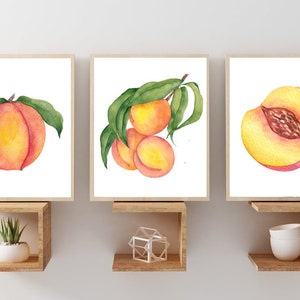 Peaches Wall Decor - Peaches Wall Art Prints - Canvas Watercolor Fruit Peach Kitchen Farmhouse Artwork - Peaches Fruit Pictures Set of 3