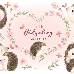 Cute Little Hedgehog with floral clipart with watercolor illustration