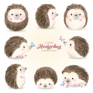 Mignon petit hérisson pose clipart avec l’illustration d’aquarelle