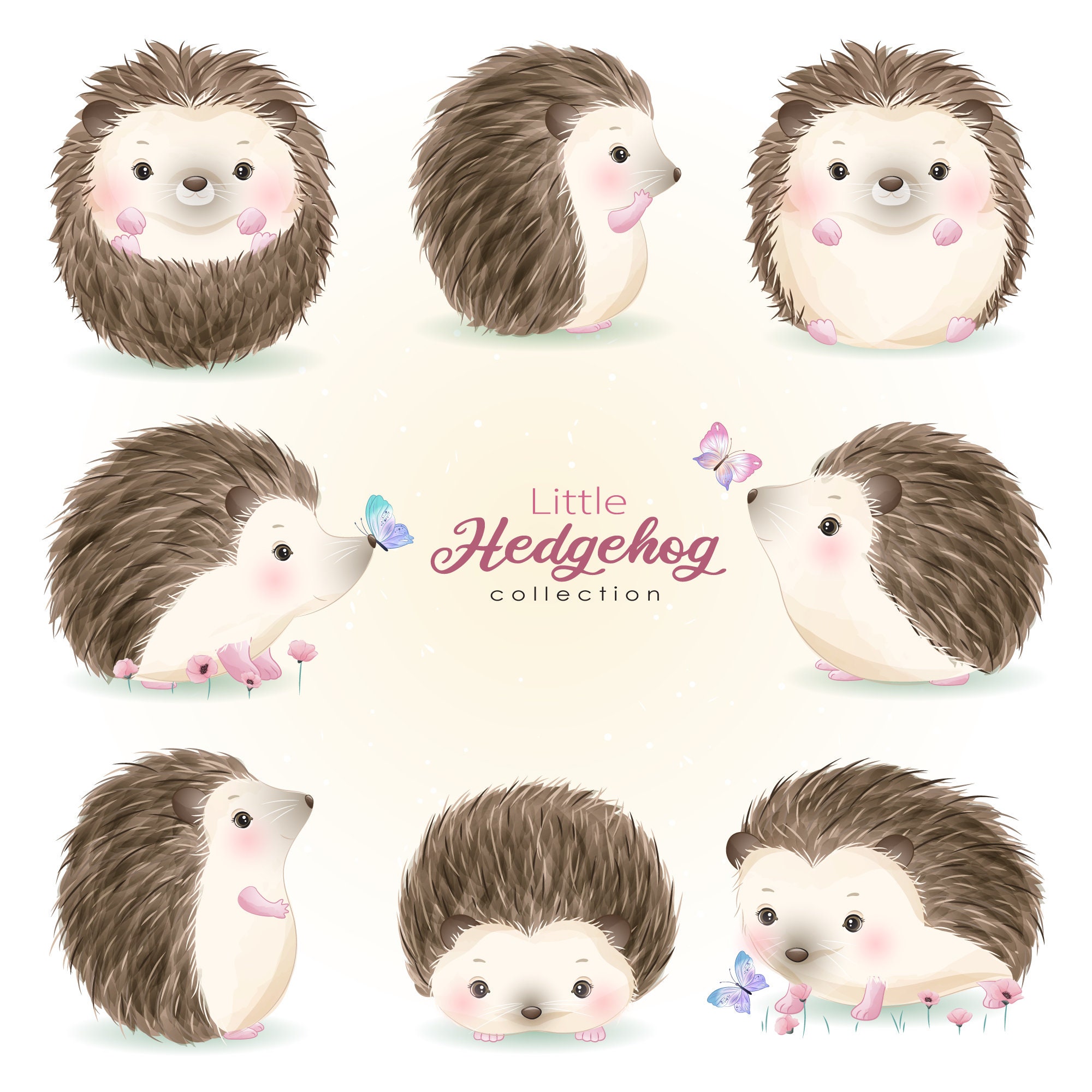 Cute Hedgehog PNG Hedgehog Clipart Scrapbooking clip art Cartoon Party Children Printables Digital Download Kids Baby Shower