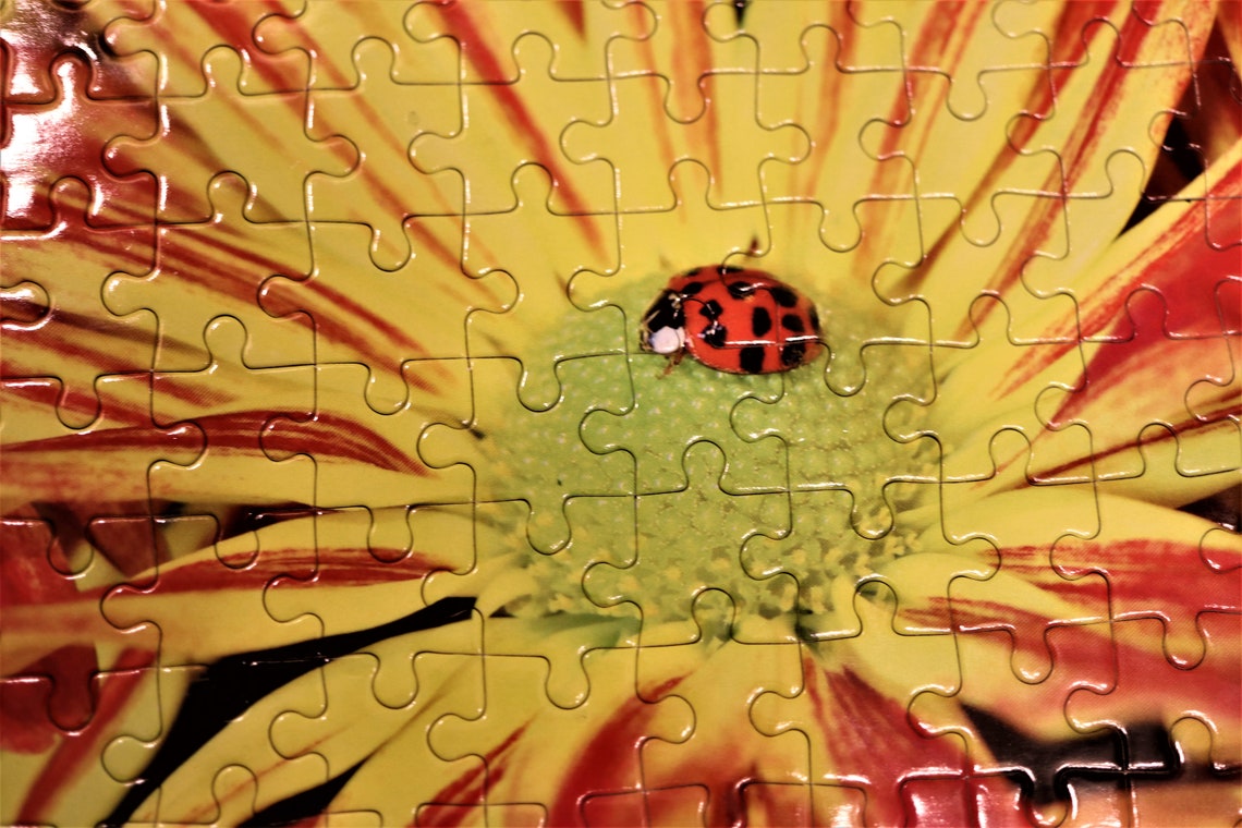 Ladybug Puzzle | Etsy