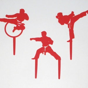 1 Martial Arts Cake Kit Karate Kung Fu Taekwondo Bday Party Topper Decoration