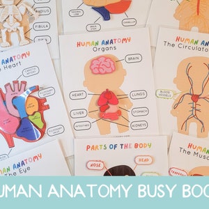 Human Anatomy Busy Book Printable, Human Body Poster, Anatomy Printable for Kids, Human Body Puzzle, Human Body for Kids, Human Body Print
