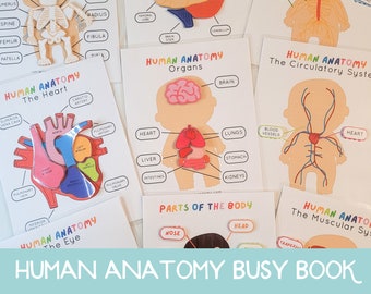 Human Anatomy Busy Book Printable, Human Body Poster, Anatomy Printable for Kids, Human Body Puzzle, Human Body for Kids, Human Body Print