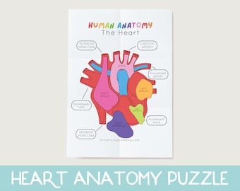 Hartanatomiepuzzel, hartanatomie afdrukbare activiteit, menselijk lichaamsspel, hartwetenschappelijk spel, Homeschool afdrukbaar, voorschools wetenschapsspel