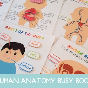 Human Anatomy, Busy Book, Human Body Game, Brain Anatomy, Homeschool Curriculum, Heart Anatomy, preschool printable, Anatomy Poster