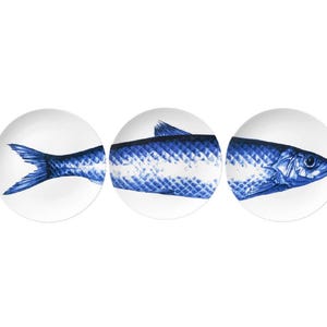 Può includere: Tre piatti bianchi e circolari disposti orizzontalmente, ciascuno dei quali mostra una sezione di un'illustrazione di pesce blu. Il pesce è raffigurato in dettaglio, con squame e pinne visibili. I piatti creano un'immagine completa del pesce.