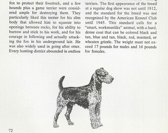 May include: An illustration of a Lakeland Terrier dog, a breed known for its working abilities. The dog has a dense coat, with colors including black and tan. The text describes the breed's history and characteristics.