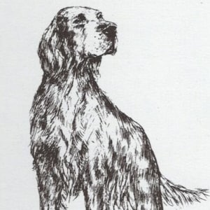 1963 Vintage Gordon Setter #3 Dog Art Print by Bridget Olerenshaw - Custom Matted 5&quot; x 7&quot; Collectible, Dog Lover, Gallery Gift, Birthday