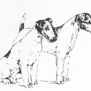 1963 Vintage Fox Terrier #1 Dog Art Print by Bridget Olerenshaw - Custom Matted 5&quot; x 7&quot; Collectible, Dog Lover, Gallery Gift, Birthday