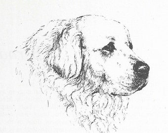 1963 Vintage Great Pyrenees #1 Dog Art Print by Bridget Olerenshaw - Custom Matted 5" x 7" Collectible, Dog Lover, Gallery Gift, Birthday