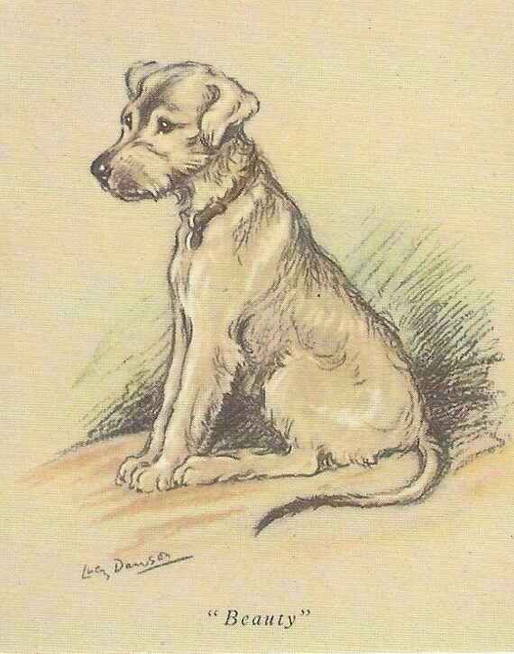 Irish Wolfhound Drawing Easy ubicaciondepersonas.cdmx.gob.mx