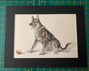 May include: A framed print of a German Shepherd dog in a seated position, with a ball in front of it. The dog is rendered in shades of gray and brown, with its tongue hanging out. The print is matted in black.