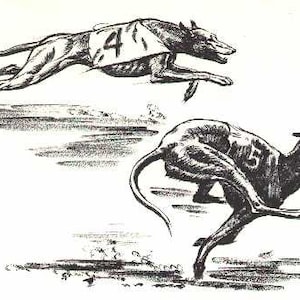 Racing Greyhound Print - 8&quot; x 10&quot; CUSTOM MATTED - 1964 Antique Dog Print Raymond Pease - Gallery Gift for Collectors, Birthday, Dog Lovers