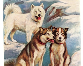 Alaskan Malamute and Eskimo - 1941 Color Dog Art Print - CUSTOM MATTED / 1241