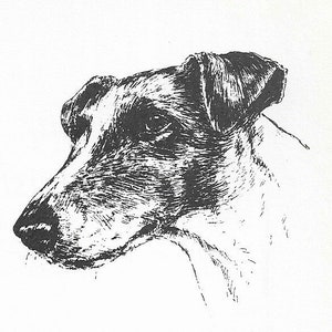 1963 Vintage Fox Terrier #2 Dog Art Print by Bridget Olerenshaw - Custom Matted 5&quot; x 7&quot; Collectible, Dog Lover, Gallery Gift, Birthday