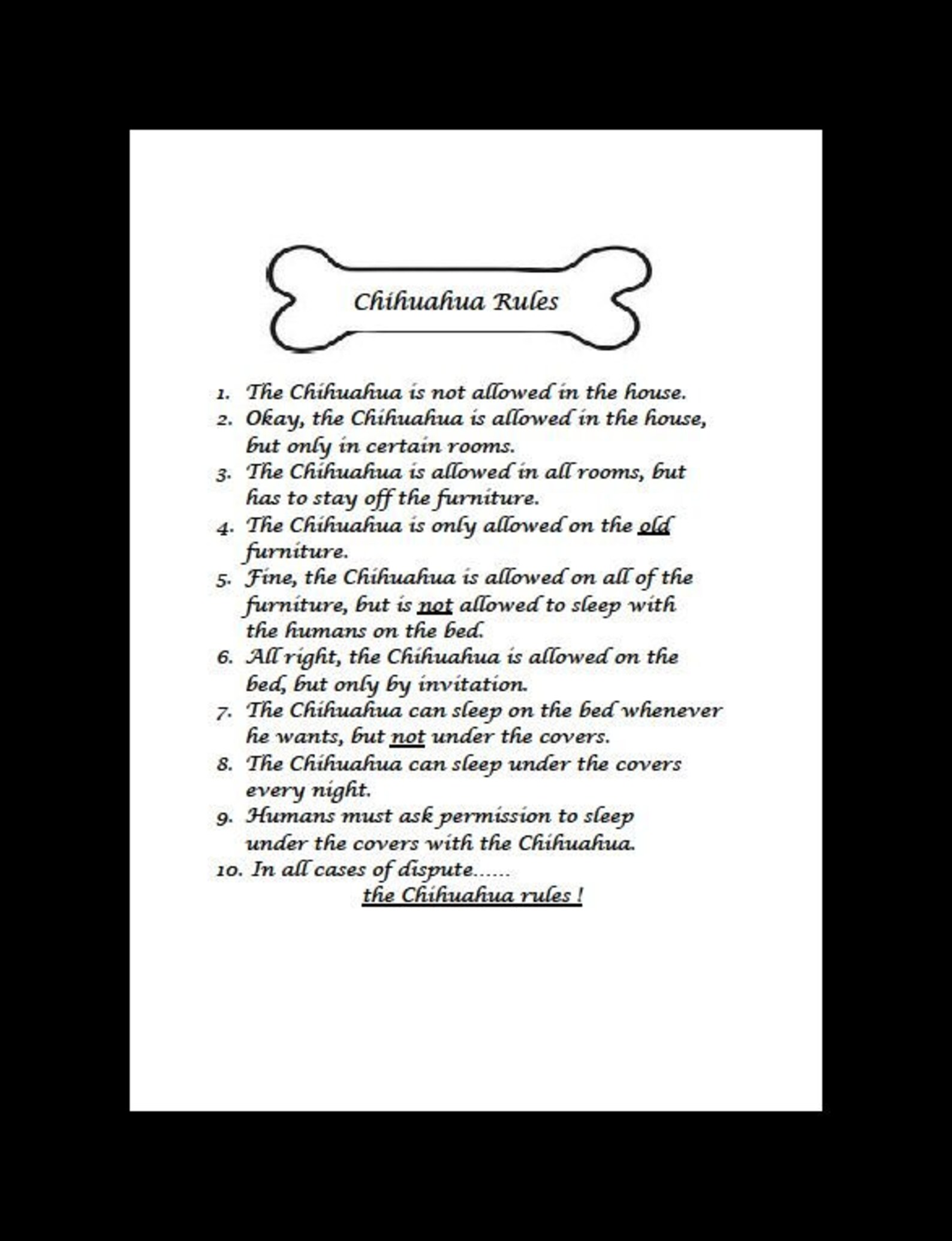 Chihuahua rules Dog Art Print Matted Etsy