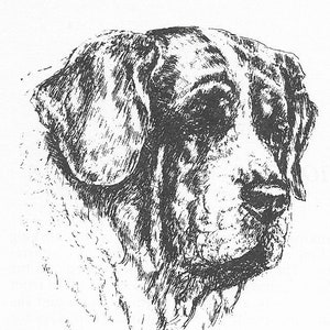 1963 Vintage Saint Bernard #1 Dog Art Print by Bridget Olerenshaw - Custom Matted 5&quot; x 7&quot; Collectible, Dog Lover, Gallery Gift, Birthday