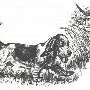 May include: A black and white illustration of a Basset Hound dog running through tall grass, with a bird flying above. The dog has long ears and a long tail. The style is reminiscent of a vintage book illustration.