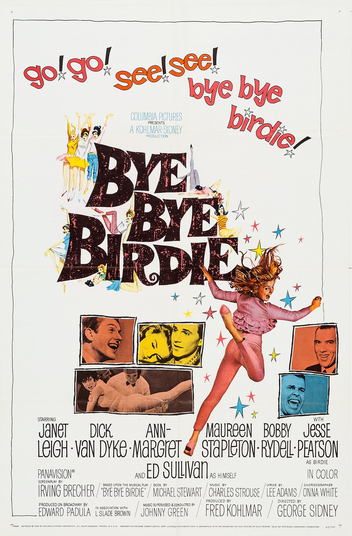 Bye Bye Birdie Movie Poster 13x19 Photo Print - Etsy