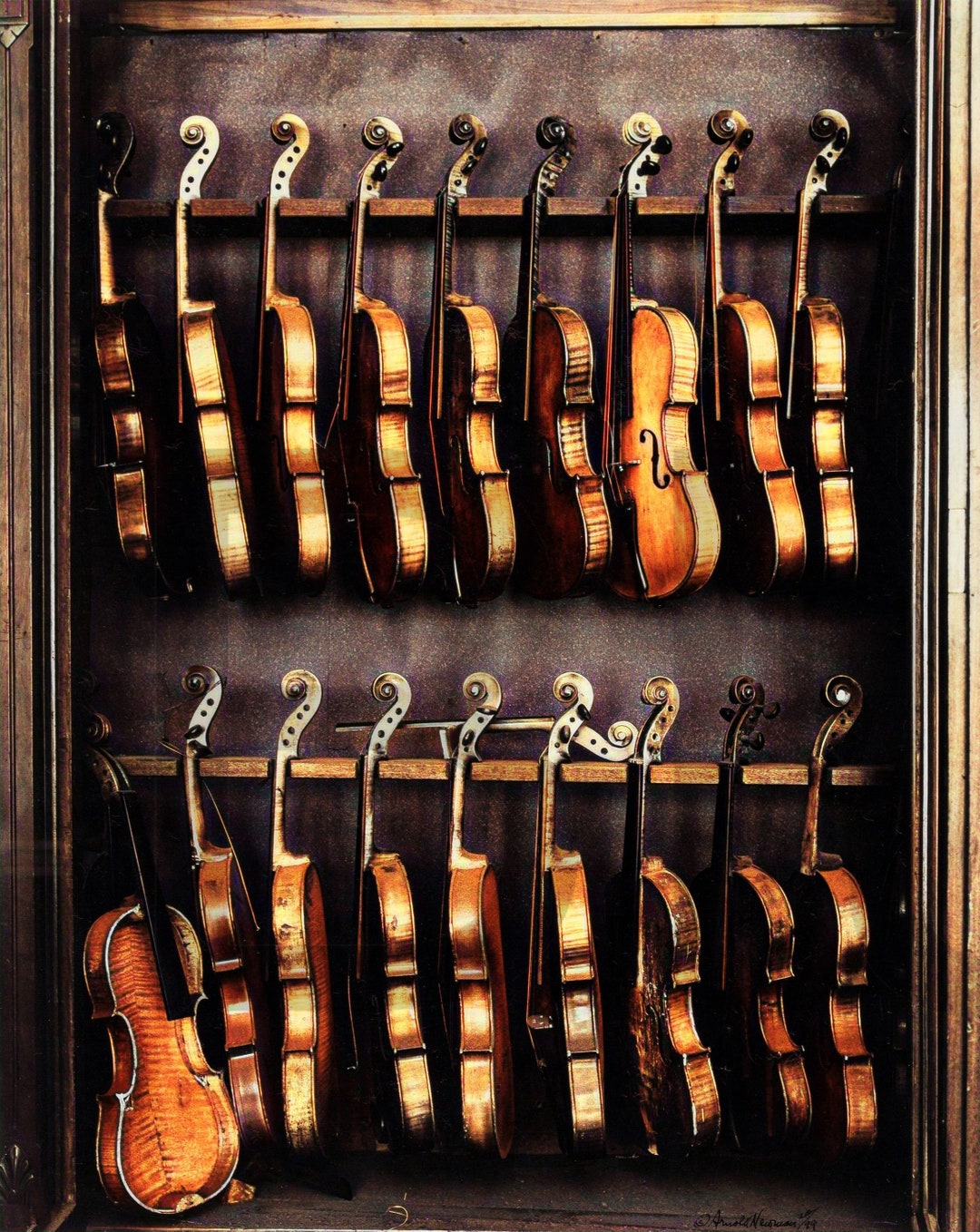 1941 Violins, Philadelphia, PA. 11 X 14 Photo Print Etsy