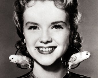 Anne Francis Photo - Etsy