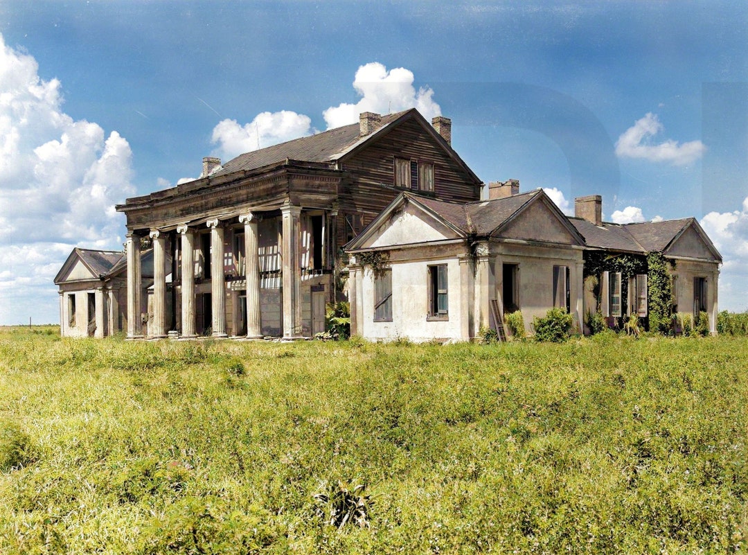 1938 Louisiana, Woodlawn Plantation, Napoleonville 11 X 14 Photo Print