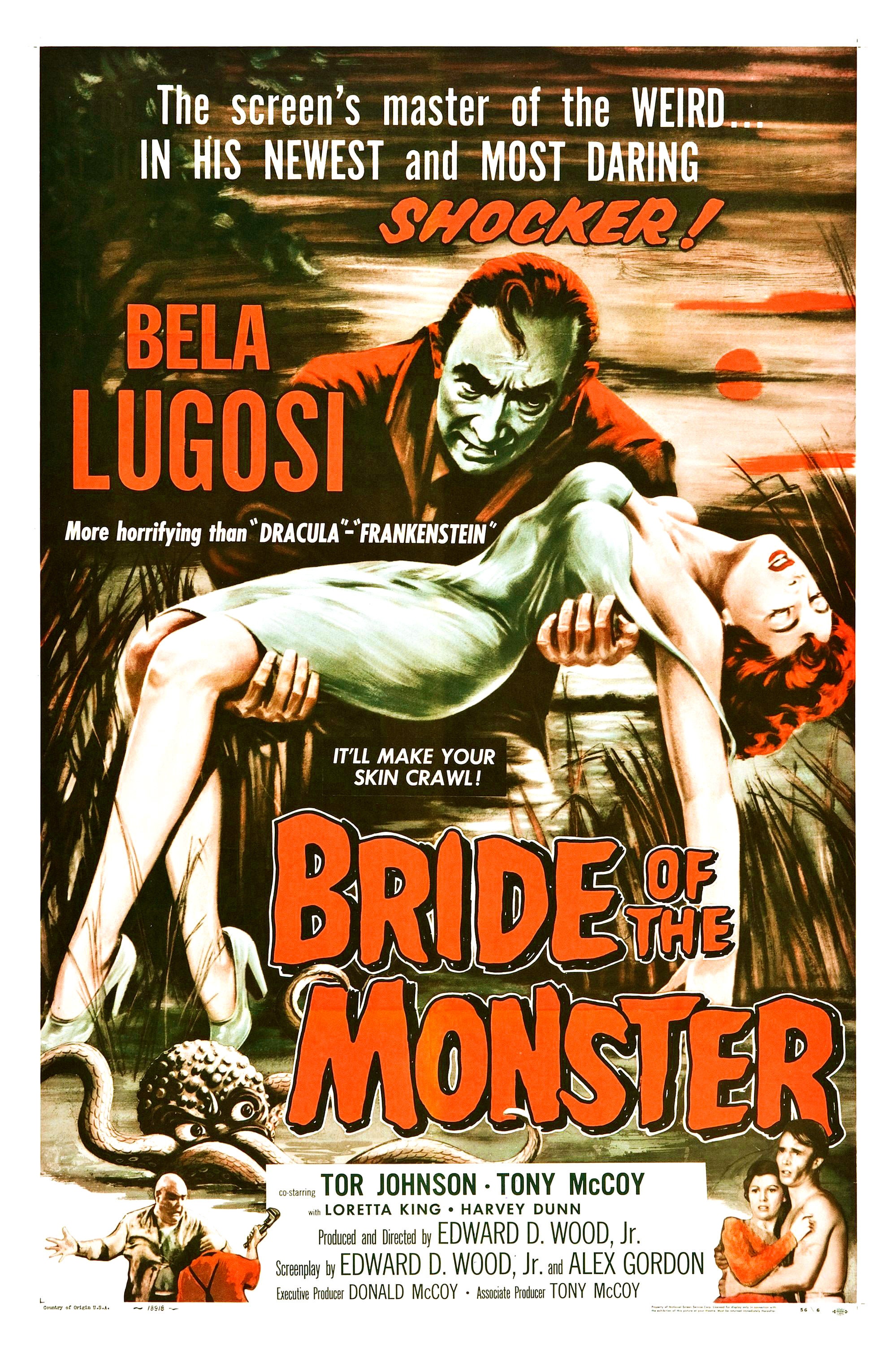 The Bride of Frankenstein Movie Poster  Replica 13x19" Photo Print 