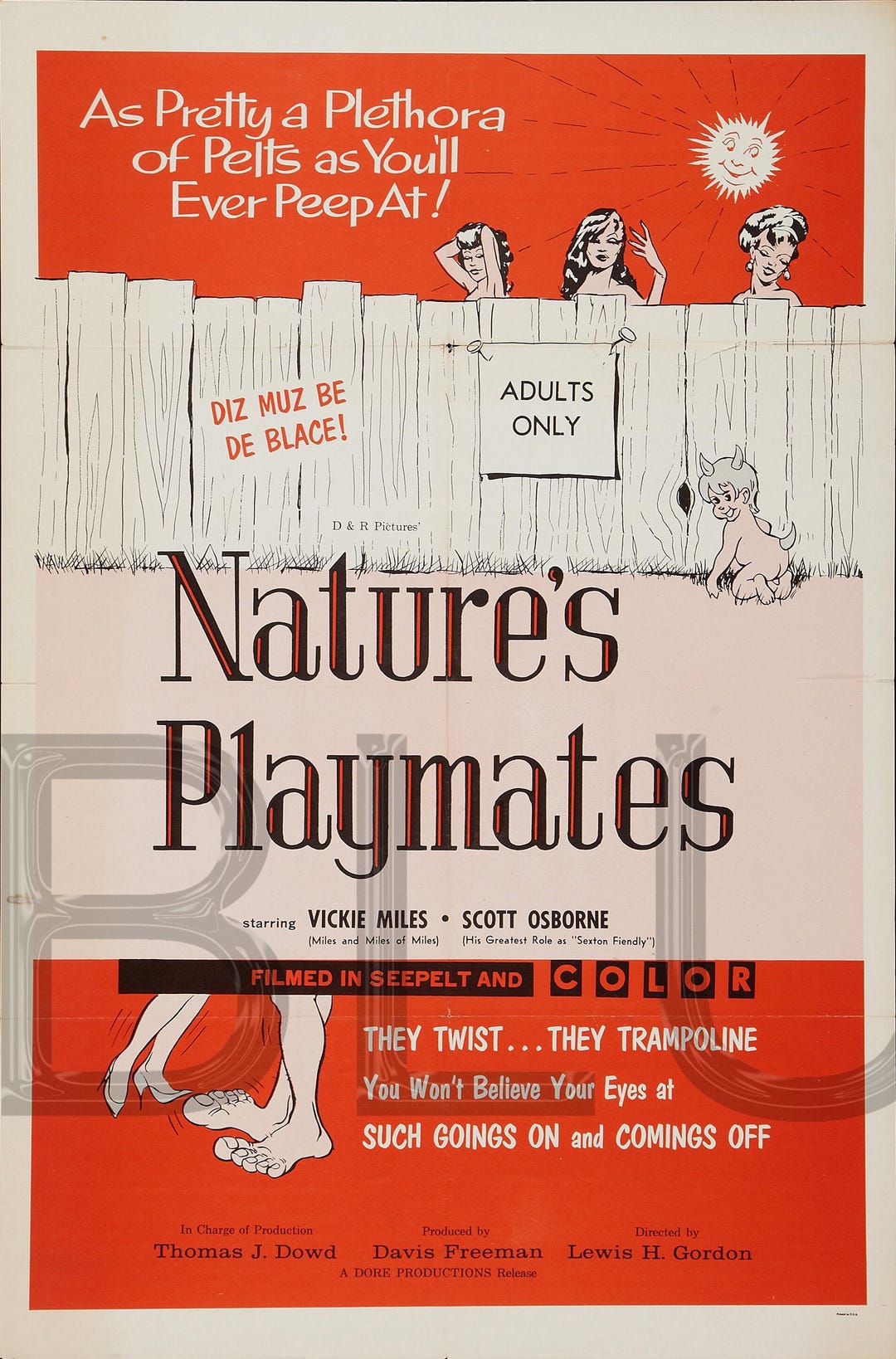 1962 Nature's Playmates Movie Poster Replica 13x19 Photo Print Etsy