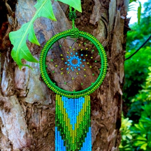 May include: A green and blue beaded dreamcatcher with a circular beaded frame and a long beaded fringe. The dreamcatcher is hanging from a tree branch.