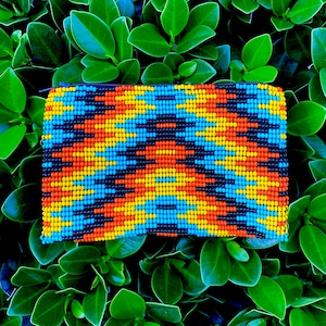 Handgemachte Seed Bead Pouch, kleine Geldbörse, Geldbörse, Rasta Brieftasche, Geschenk für Sie