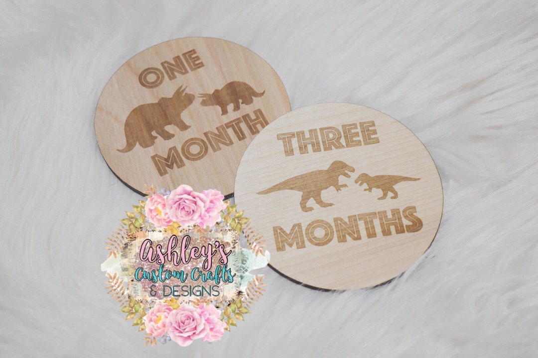 Dinosaur Monthly Milestone dinosaur Nursery Decor Natural Wood ...