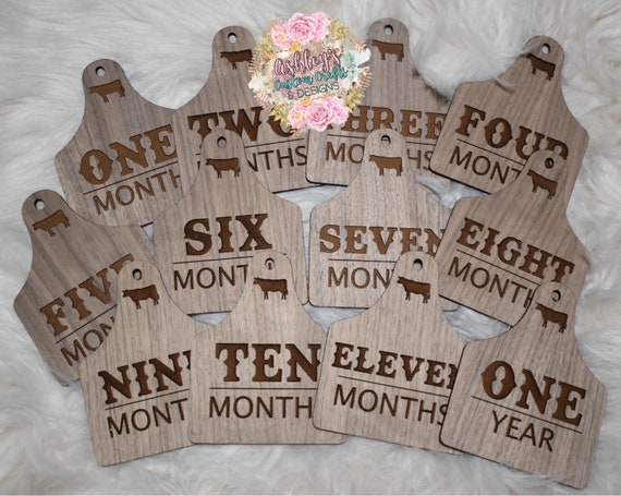 Cow Ear Tag Monthly Milestone Tags Country Nursery Rustic Etsy<script async src=