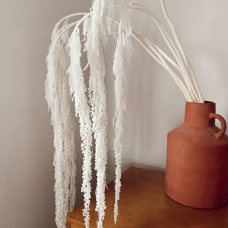 Hanging Amaranthus Dried Bleached White Amaranthus Etsy