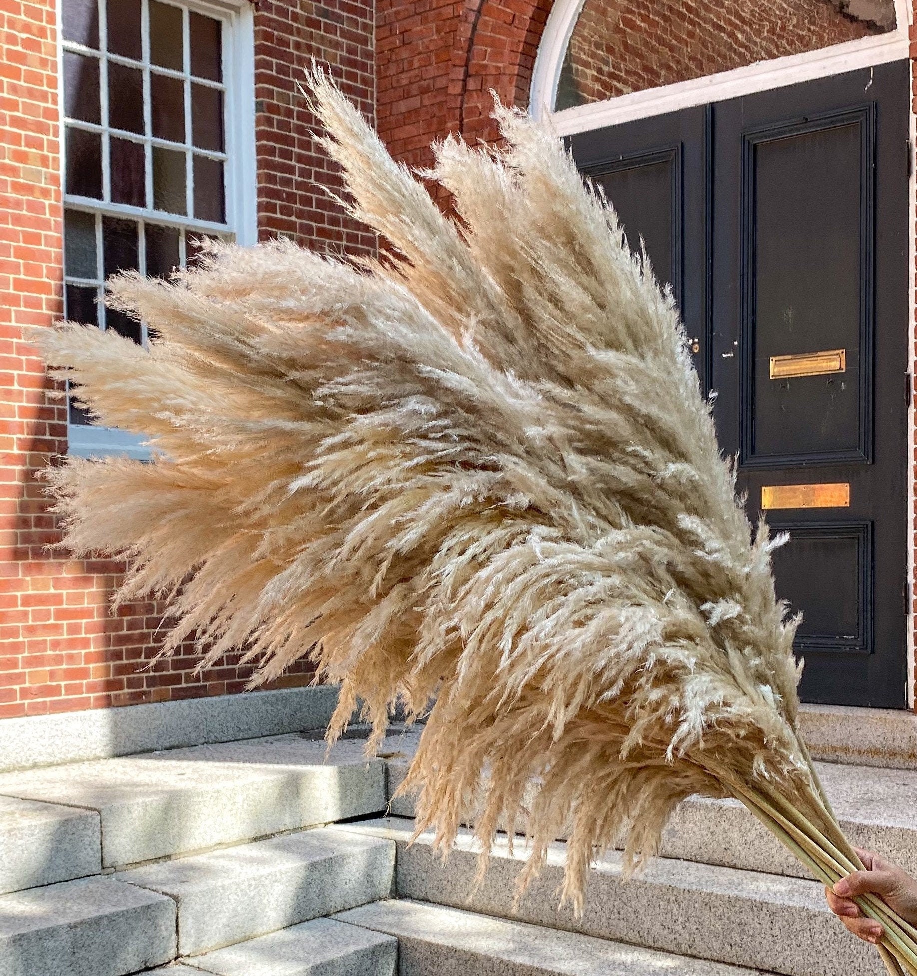 Pampas Grass Decor TOP QUALITY Extra Large Fluffy 45 inches Etsy