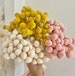 Billy Balls 20 Stems | Yellow | White | Pink | Dried Billy Balls | Floral Arrangements | Office Decor | Wedding Decor 