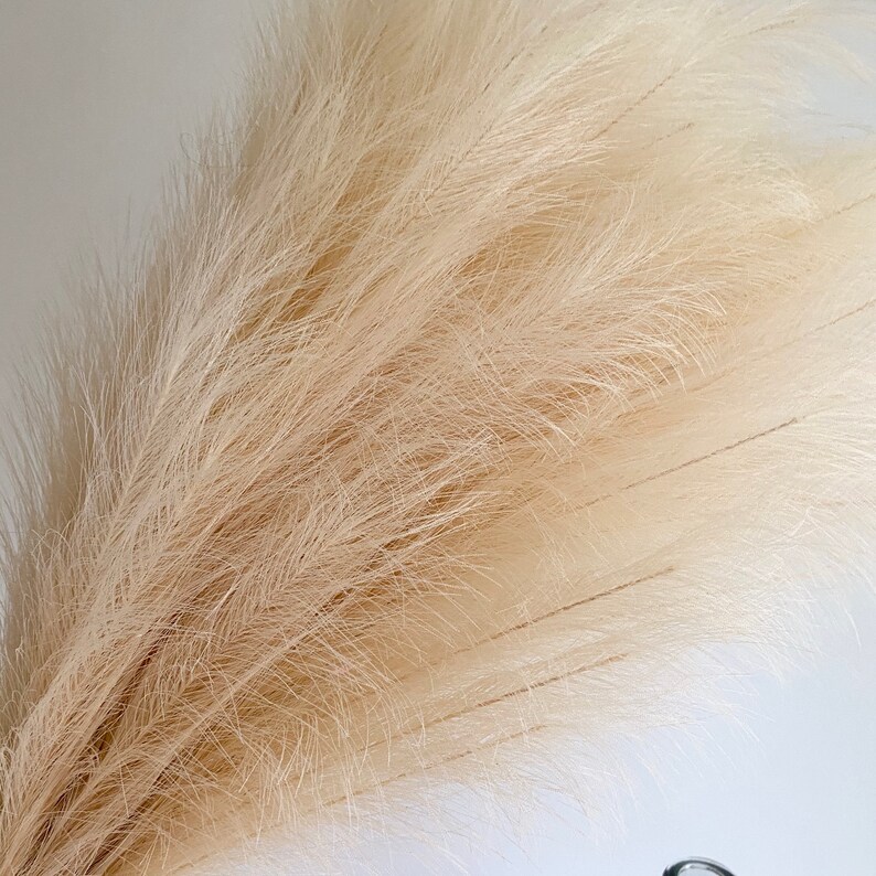Large Faux Pampas Grass Artificial Pampas Grass Natural image 5
