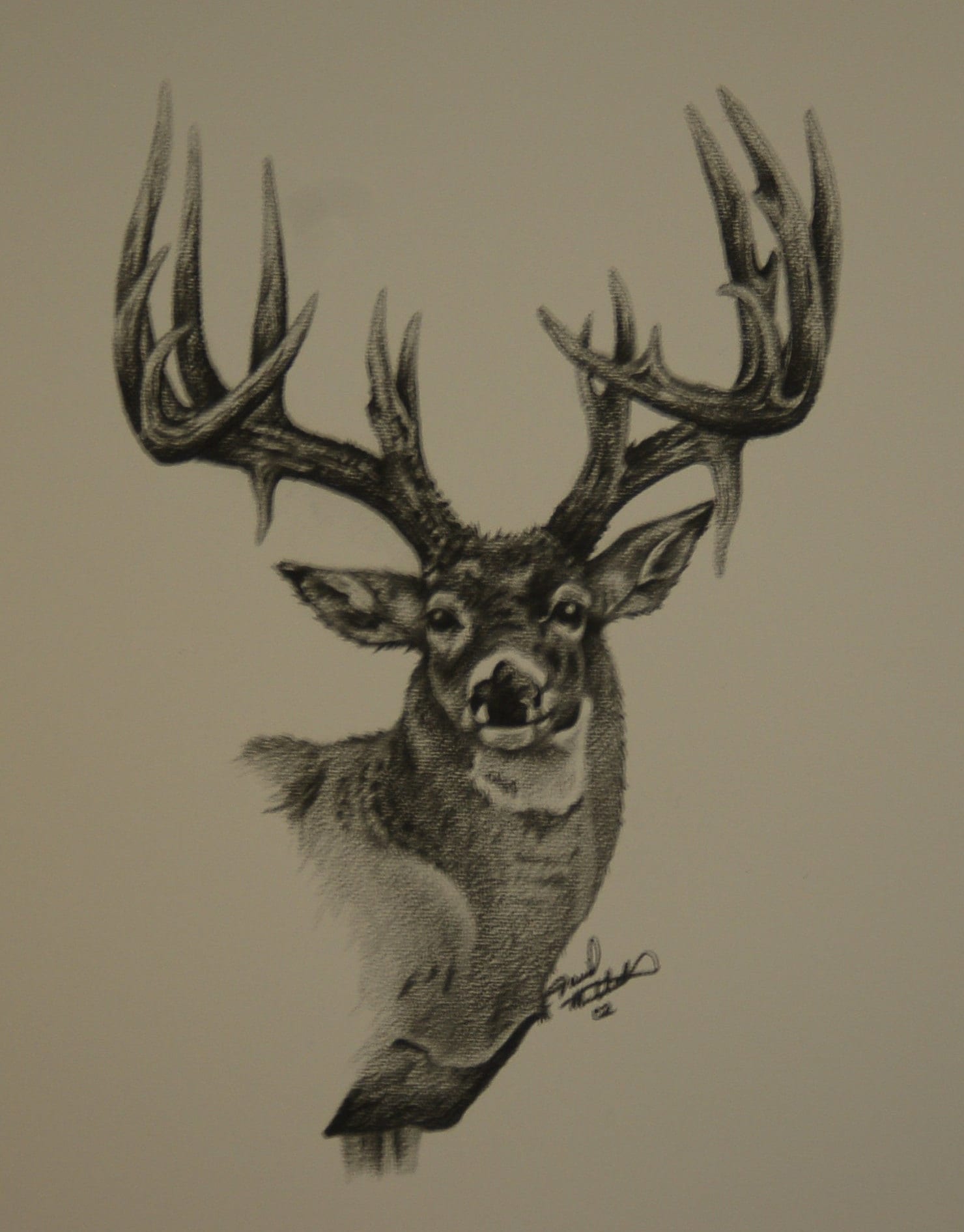 White Tail Buck Print. Etsy