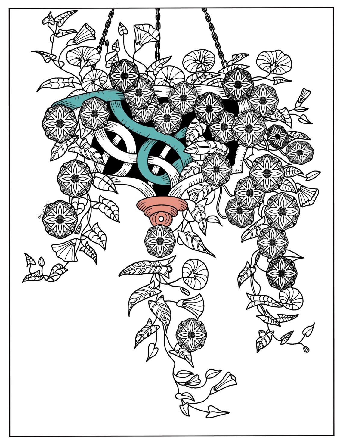 Hanging Basket Flowers Printable Coloring Page Hand Drawn Etsy