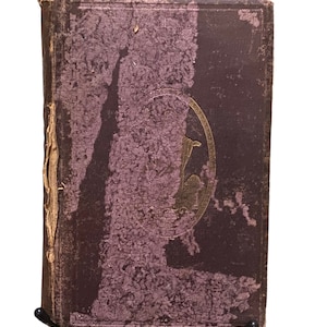 Young Peoples Illustrated Bible 1875
