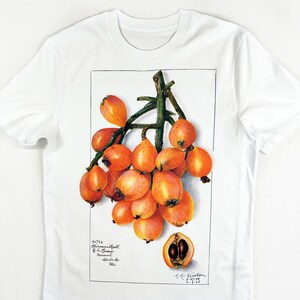 May include: White t-shirt featuring a botanical illustration of loquats. The artwork depicts a cluster of orange-yellow fruits with green stems, and a cut-open loquat. The shirt has text at the bottom: Etsy: OldfangledArtShop.