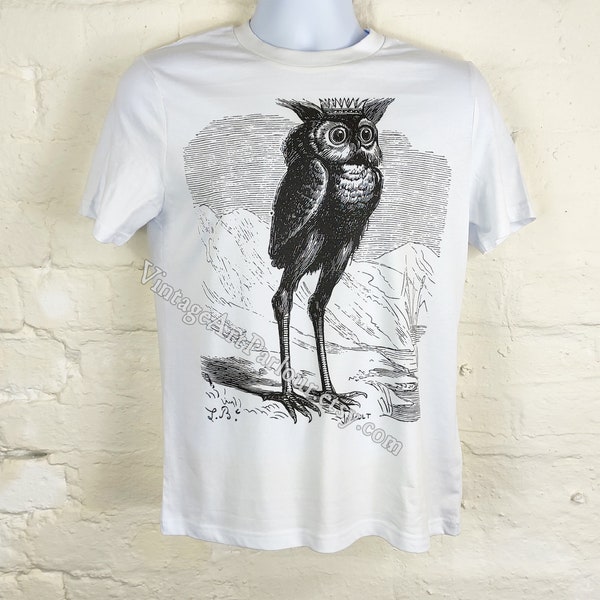 Stolas 1863 T-Shirt, Adult Unisex Organic Cotton, Vintage Demon Art Clothing