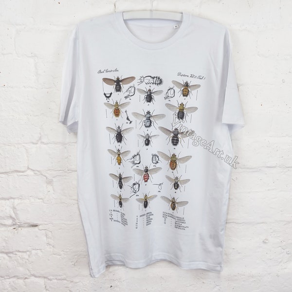 Parasitic Flies (Diptera V.2 001) 1888 T-Shirt, Adult Unisex Organic Cotton, Vintage Zoology Art Clothing