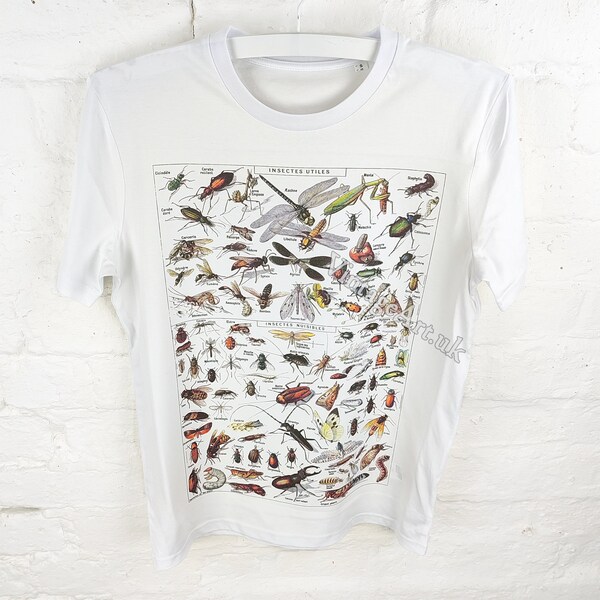 Insects 1922 T-Shirt, Adult Unisex Organic Cotton, Vintage Zoology Art Clothing