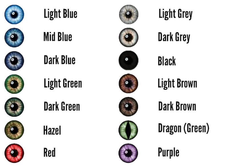 Ipa Eye Left Eye Silicone Prosthetic (IPA) | Latex Free | Third Eye | Special ...