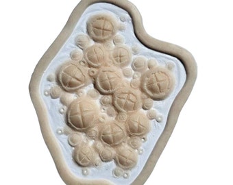 Prótesis de silicona de percebes / sirena / océano / efectos especiales / LARP / sin látex / branquias / criatura marina