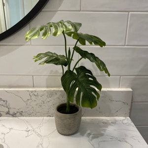 Realistic SMALL Artificial SPLIT PHILO in Pot- Indoor Faux Fake Monstera Leaves Palm Tree Leaf Plant for Office Desk, Bathroom, or Bedroom