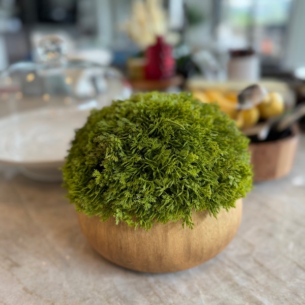 7" Real Touch Moss with Ceramic Pot Wooden Planter Box Look Faux Moss Greenery Artificial Centerpiece Shelves Bathrooms Kitchen Countertops